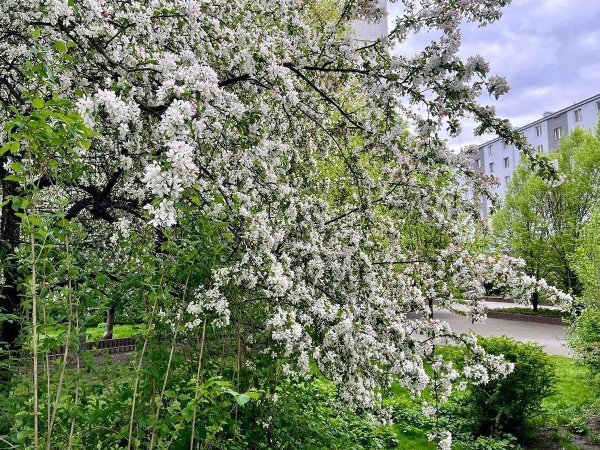 Warsaw City Center Ngoại thất bức ảnh
